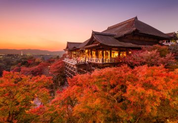 NovemberThe tour starts in early November from Tokyo and is created for those wish to enjoy the colors of autumn leaves along with popular highlights.